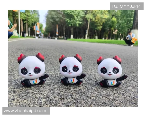 成都排球队的成长之路：挑战赛背后的奋斗与坚持