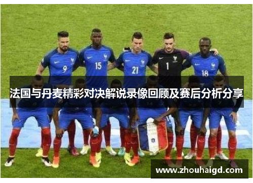法国与丹麦精彩对决解说录像回顾及赛后分析分享